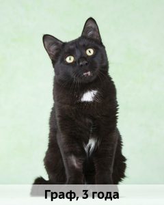 Баранова_Граф_3г_верт_2