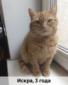 Донецк_Искра_3г_верт