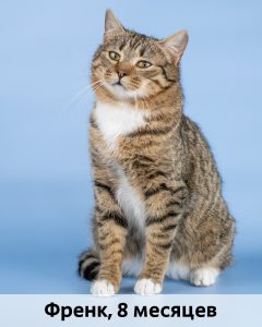 КВД_Френк_8мес_верт