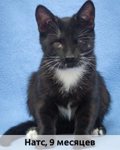 КВД_Натс_9мес_верт