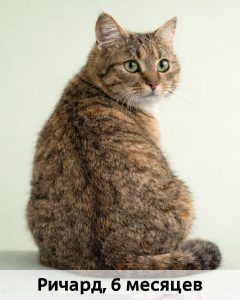 КВД_Ричард_6мес_верт