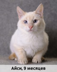 ЛЗ_Айси_9мес_верт