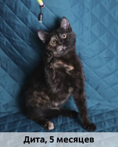 ЛЗ_Дита_5мес_верт