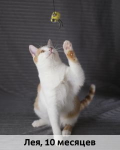 ЛЗ_Лея(2)_10мес_верт