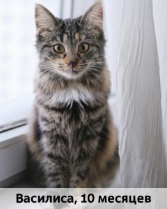 ЛЗ_Василиса_10мес_верт