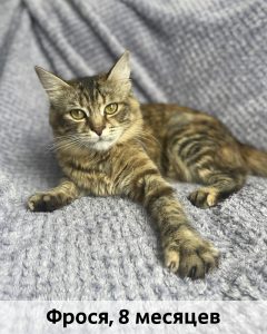 Мурмурия_Фрося_8мес_верт