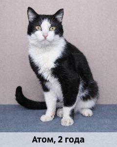 ТОС_Атом_2г_верт