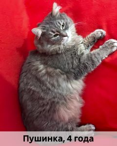 ТОС_Пушинка_4г_верт