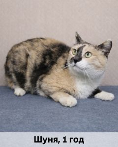 ТОС_Шуня_1г_верт