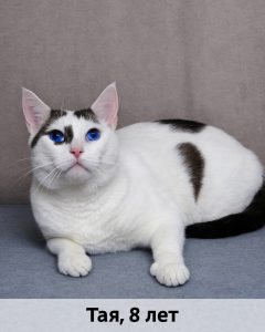 ТОС_Тая_8л_верт