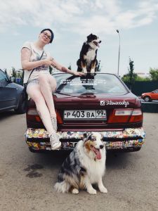 наклейки #увасещеневседома