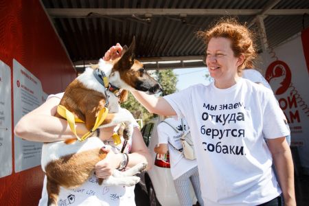 акция #всемпонаклейке