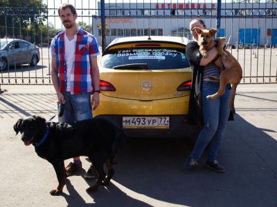 наклейки #увасещеневседома